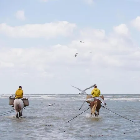 Apartmán In Koksijde Near The *