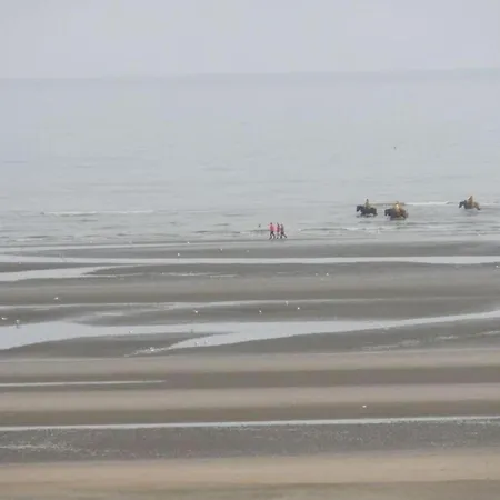 In Koksijde Near The Oostduinkerke