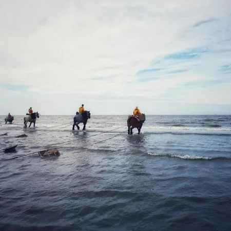 In Koksijde Near The Appartement Oostduinkerke