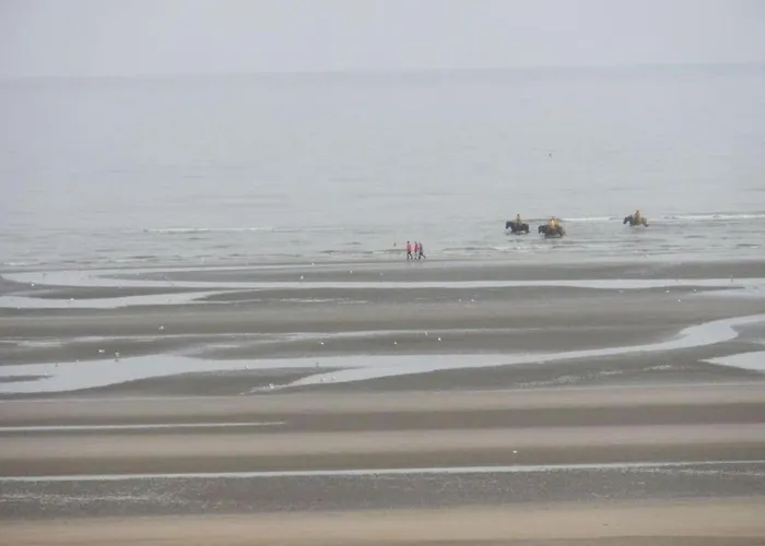 In Koksijde Near The