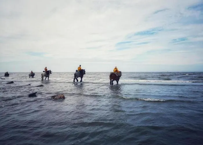 In Koksijde Near The Apartment Oostduinkerke
