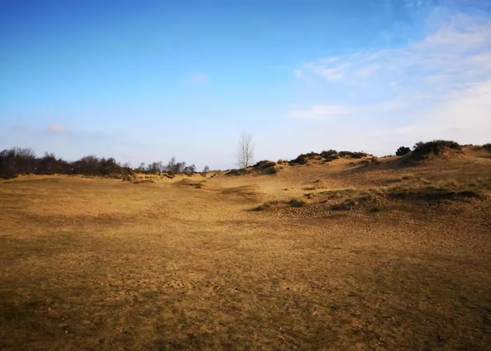 In Koksijde Near The Apartment